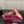 GG Pointed-Toe Mules 9.5cm Pink Cowhide 725304