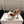Amina Muaddi Alexa Lace Slipper 95 White Satin 726126