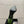 YSL Chica Slingback 10.5cm Green Leather 828240