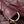 Chanel 2026 Lucky Bag 22cm Burgundy Sheepskin