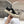 CELINE 25C Trainer Sneaker Black Canvas 236762