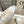 Golden Goose 2025 Star Sneaker Ivory Silver mix Pink Wool Cowhide 491647