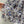CD 2025 Butterfly Printed Long Skirt Multicolor Cotton