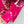 CD 25 Dopamine Dye Pattern Long-sleeved T-Shirt Pink Cotton