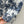 CD 25 Butterfly Coconut Print Shirt White Blue Cotton