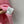 CC 25 Knitted Dress Pink Cotton