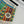 Loewe Short Multicolor Cotton