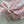 CD 25 Flying Sleeve Short Shirt White Pink Cotton