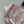 CD 25 Flying Sleeve Short Shirt White Pink Cotton