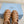 Prad 26s Fisherman Platform Sandals 8.5cm Brown Leather 122233
