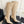 GG 26s Knee High Boots 8.5cm Beige GG Canvas 122057