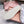 Miu Miu 2026 Crystal Embellished Sneaker Canvas 976963