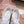Miu Miu 2026 Crystal Embellished Sneaker Canvas 976963