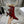 D-Idole Heeled Ankle Boot In Red Glossy Lambskin 996442