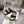 CD Dioract Sandal 40mm In Black Suede 996365