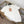 Miu Crew Neck Sweater White Cotton 394303
