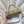 CC Maxi Flap Bag with Top Handle 31.5cm Khaki Quited Caviar Leather