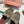 LP 25C Summer Charms Mules 55MM Army green Suede 215022