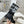 CD D-Major Boot In Black Lambskin 100578