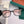 SQUARE FRAME SUNGLASSES G55501 IN ACETATE