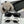 MONTAIGNE SUNGLASS D8106 IN ACETATE