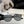 BUTTERFLY FRAME SUNGLASSES G580 IN ACETATE