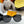 SIGNATURE ROUND SUNGLASSES L3387 IN ACETATE