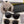 MONTAIGNE SUNGLASS CD3752 IN ACETATE