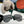 AVIATOR FRAME SUNGLASSES G5882 IN METAL