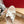 Rockstud Crisscross Espadrilles 20mm Sandal Wedges White