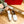 ROCKSTUD WHITE CANVAS ESPADRILLES