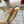 VLogo Signature Striped Espadrille Mules Beige Green Raffia
