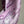 Pucci 26s Stella-Print Silk Pant Purple Silk 391066