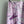 Pucci 26s Stella-Print Silk Pant Purple Silk 391066