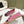 espadrilles pink black quilted calfskin