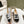 espadrilles white black tweed canvas