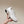 cc trainer white fabric