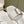 Miu x Balanc Studded Buckle Elegant Mules 45mm White Patent Leather 445871