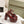 CC HIGH SANDAL WINE RED CALFSKIN