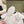 CC SANDALS PEARL ROMAN IN WHITE LAMBSKIN