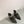 CC 24A Pearl Bow Ankle Boots 65mm Black Sheepskin 447468