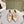 CC 24A Pearl Bow Slingbacks 65mm Beige Sheepskin 447466