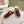 Miu Ankle Boots Caramel Fleece Lining Suede