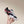 Miu Gymnasium Sneakers Technical Fabric & Suede 445726