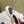 Miu Gymnasium Sneakers Technical Fabric & Suede 445726