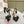 CD 25 Or Adiorable Heeled Sandal Tassel Grosgrain 241756