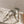 Miu Mordoré Pointed Toe Slingback Pumps 85mm Light Gold Cowhide Sheepskin 445789