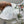 CD 2026 Midi Skirt Multicolors Cotton 411783