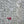 CD SS26 Set Dioramour Embroidered Cardigan Short-Sleeved Sweater Ecru Cashmere 351370