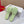 Petal Anagram Slide in Seafoam Soft Calfskin 273745